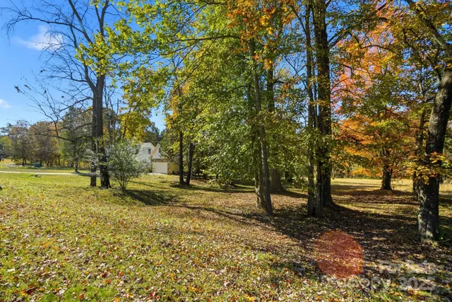 a view of backyard with tree