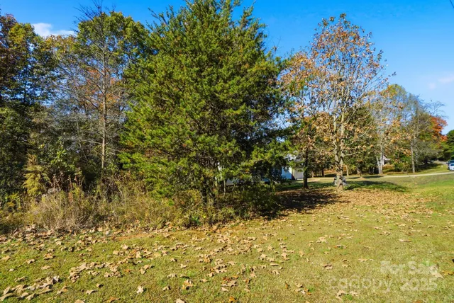 a backyard of a house with large trees