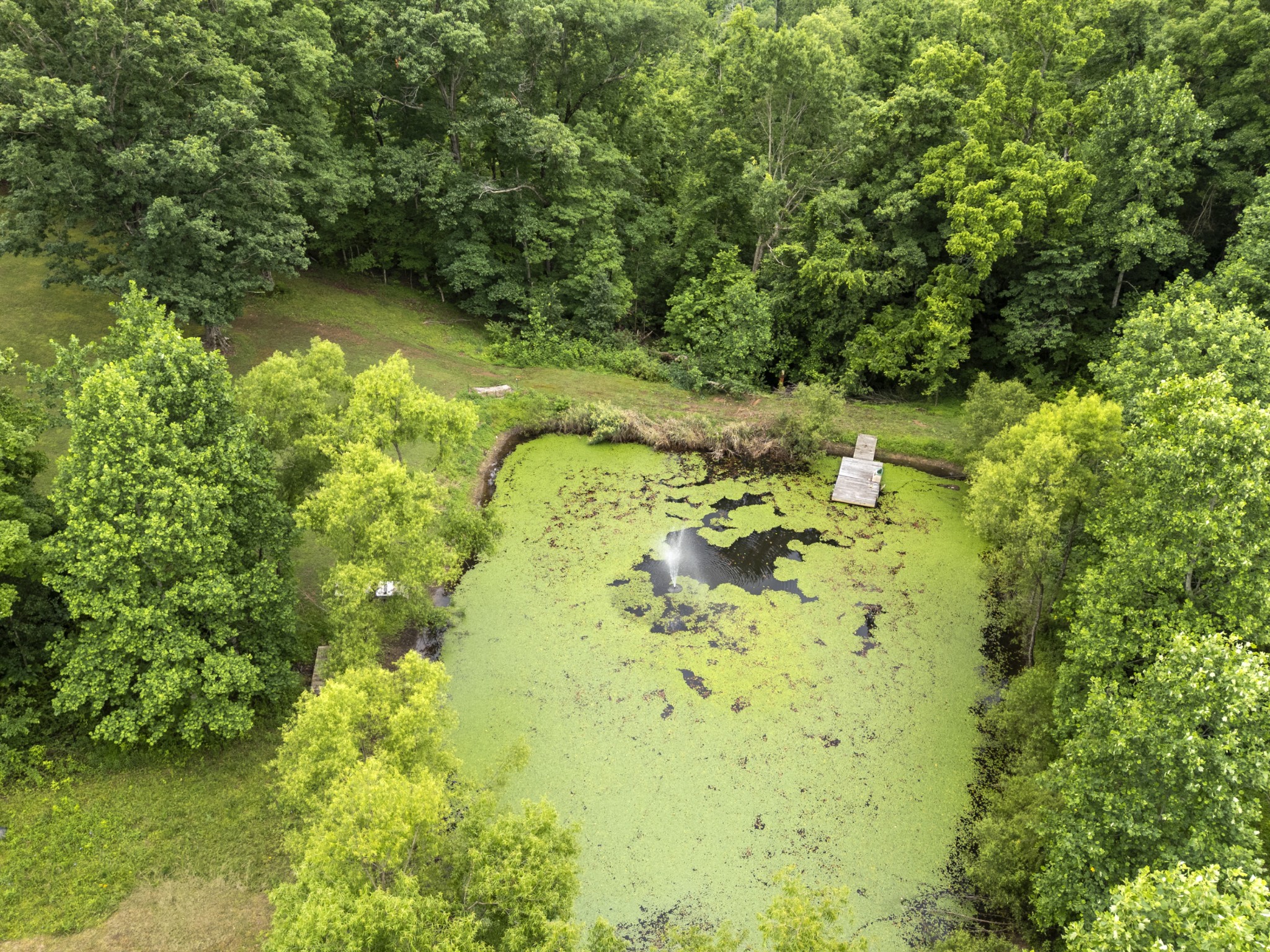 1100 Mill Road Dickson, TN 37055 - Photo 58 of 66