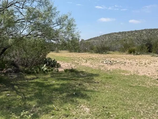 $165,000 | 217 Eastwood Road, Comstock, TX 78837