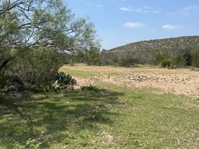 217 Eastwood Road Comstock, TX 78837 - Photo 1 of 6 IMG_0377