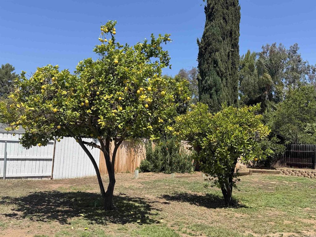 14744 Roberto Rio Road Poway, CA 92064 - Photo 43 of 49