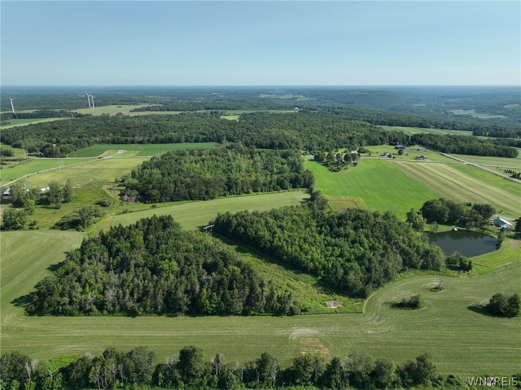 Thomas Road Varysburg, NY 14167 - Photo 13 of 21