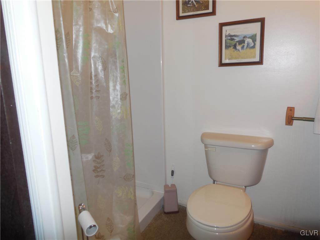 487 Willow Road Walnutport, PA 18088 - Photo 16 of 49 bathroom has standing shower