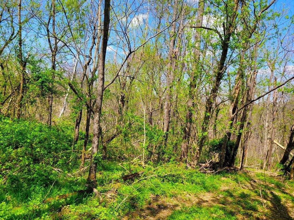 8670 Hoop Pole Road Roseville, OH 43777 - Photo 47 of 65 20220424_130028