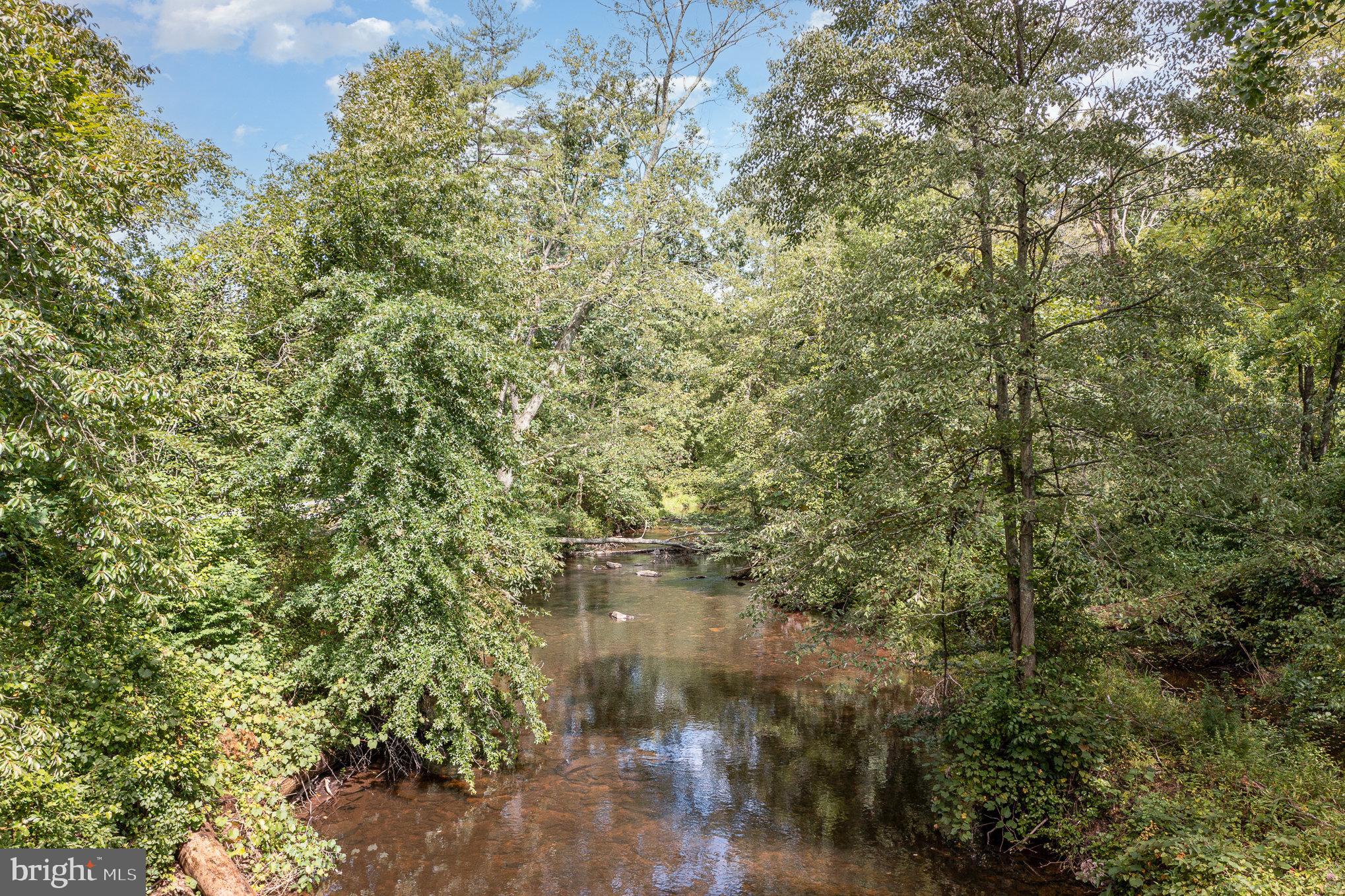 Clarks valley tree outlet