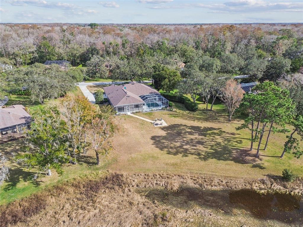 12147 Quail Ridge Drive Spring Hill, FL 34610 - Photo 88 of 97