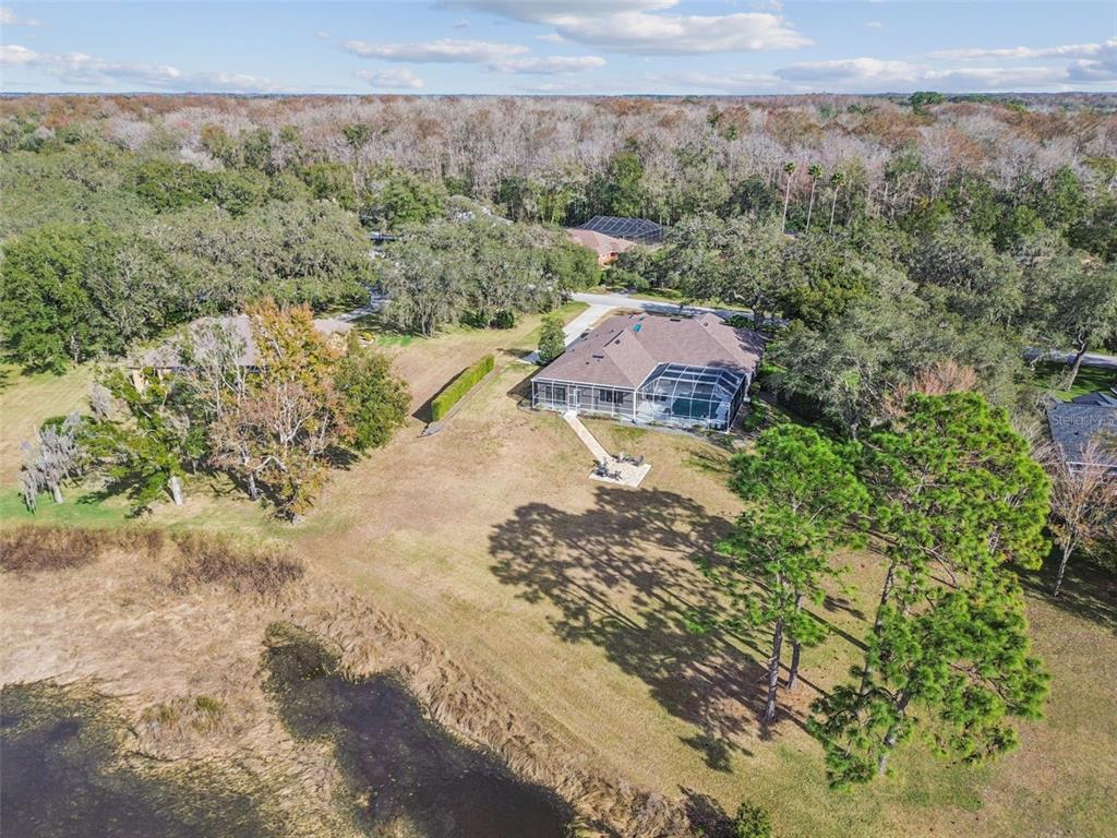 12147 Quail Ridge Drive Spring Hill, FL 34610 - Photo 93 of 97