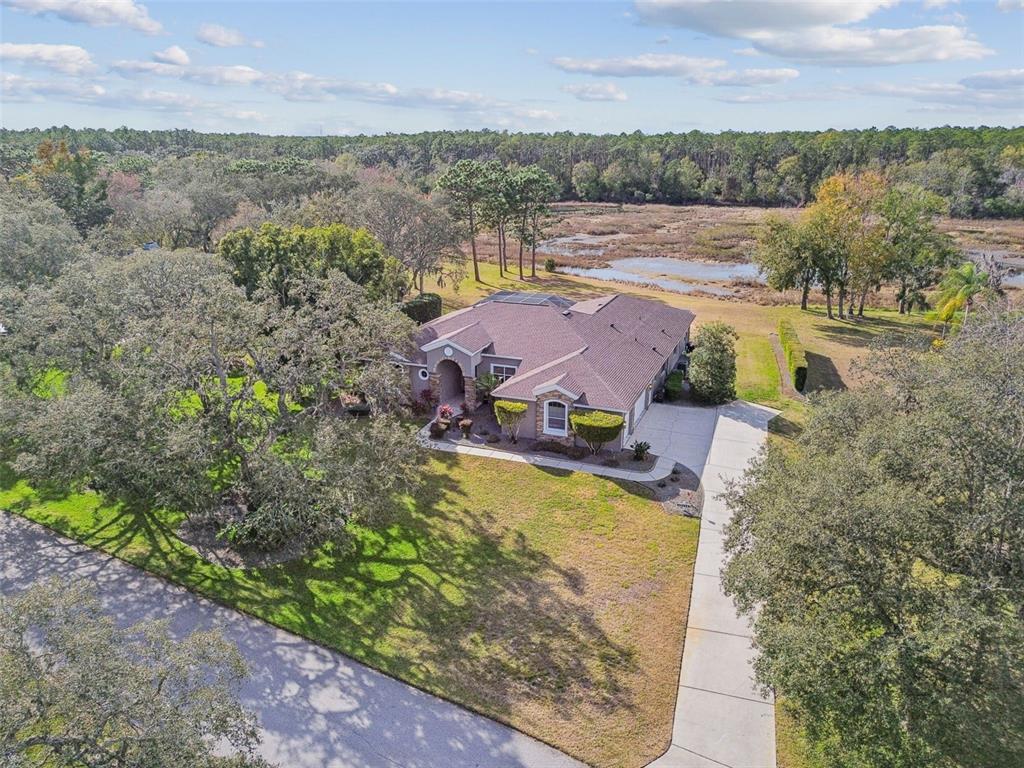 12147 Quail Ridge Drive Spring Hill, FL 34610 - Photo 94 of 97