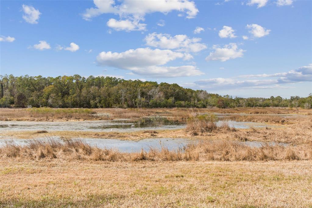 12147 Quail Ridge Drive Spring Hill, FL 34610 - Photo 96 of 97