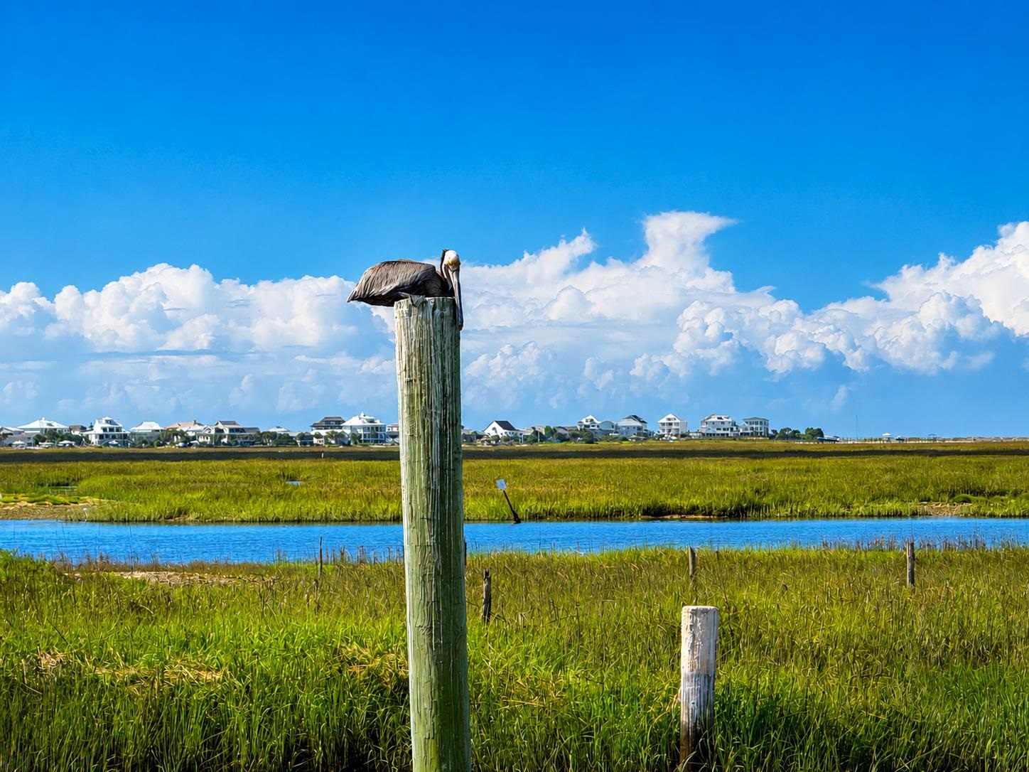 151 Crooked Island Circle Murrells Inlet, SC 29576 - Photo 29 of 29