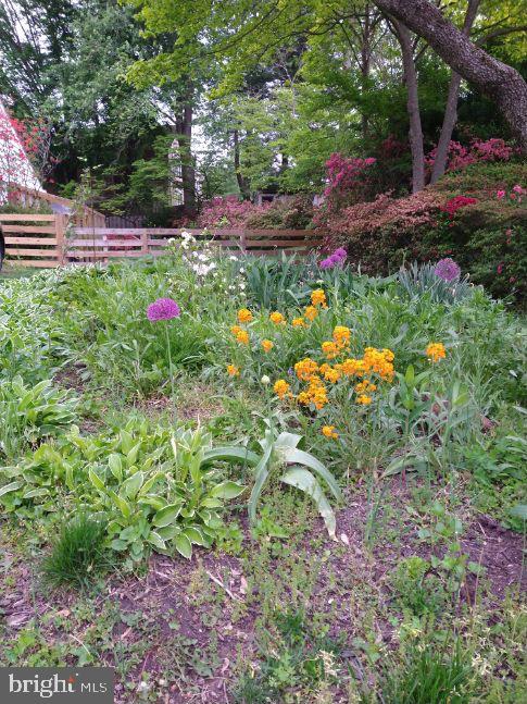 15201 Winstead Lane Silver Spring, MD 20905 - Photo 71 of 83 Flowers/Landscaping
