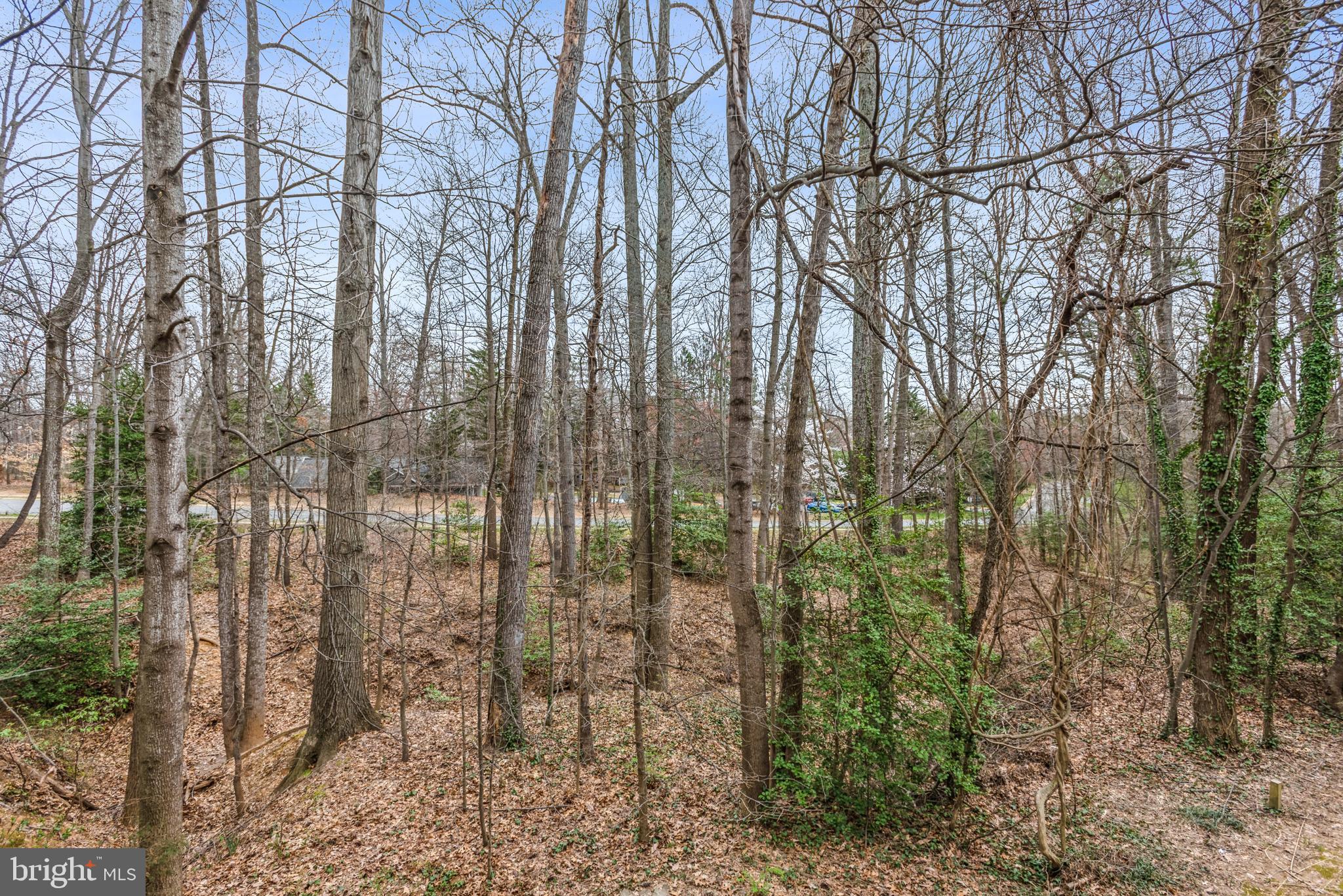 11558 Hemingway Drive Reston, VA 20194 - Photo 39 of 47 Gallery Image 39