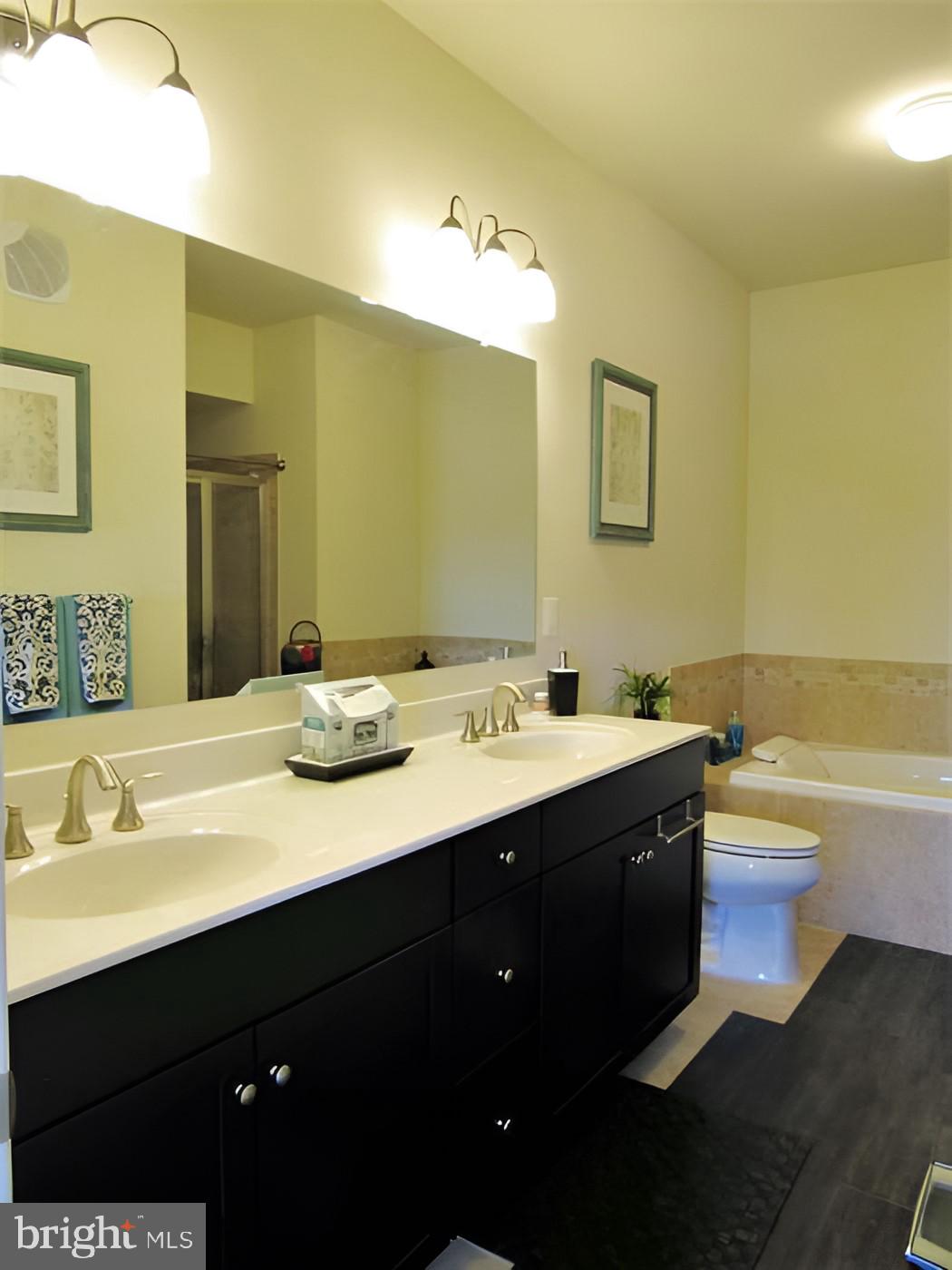 42581 Sunset Ridge Square Ashburn, VA 20148 - Photo 12 of 24 Elegant bathroom with modern finishes.