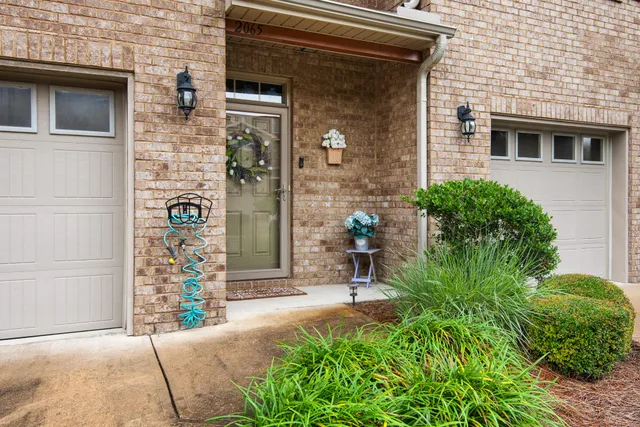 a potted plant sitting in front of a house