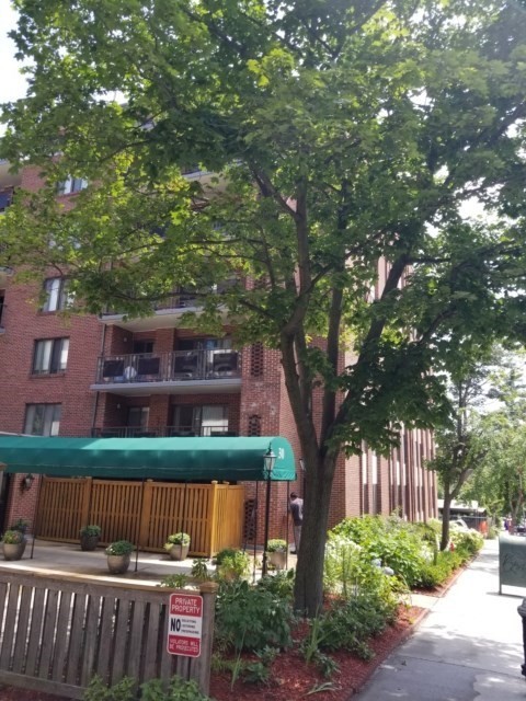 30 Stearns Road, Unit 502 Brookline, MA 02446 - Photo 1 of 13