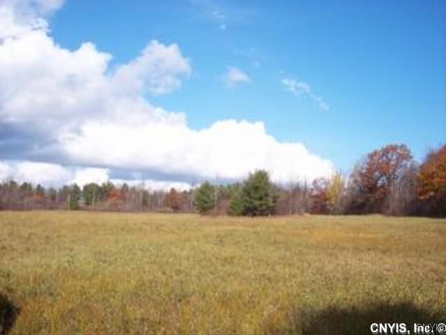 0 Tierney Road Hammond, NY 13646 - Photo 1 of 1 Land