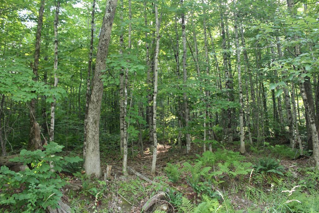 Map R3-lot Map R3-lot Chicken Street Starks, ME 04911 - Photo 13 of 14 Photo
