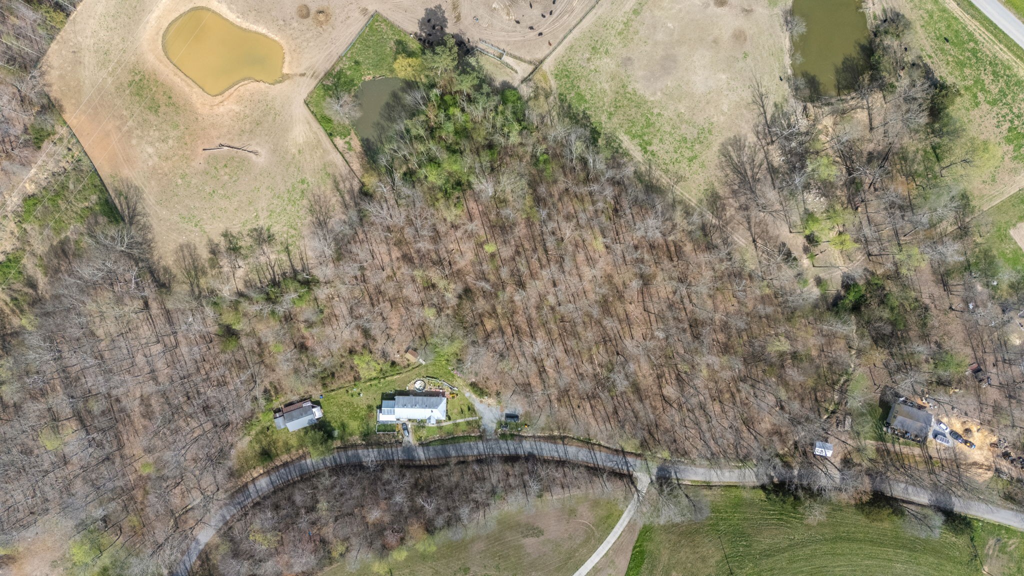 1987 Bobo Hollow Road Tullahoma, TN 37388 - Photo 61 of 62