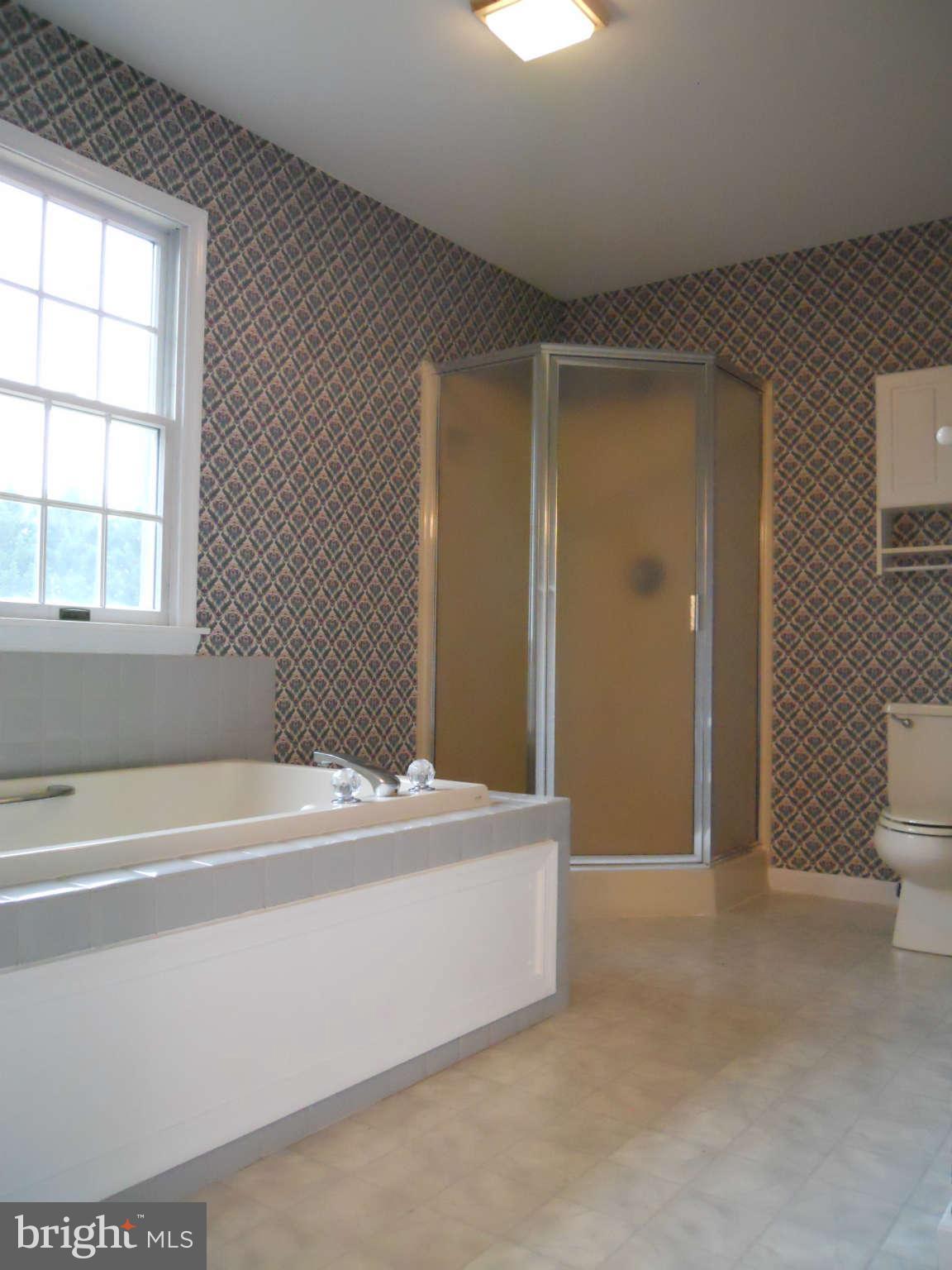 534 Quail Run Road Summit Point, WV 25446 - Photo 2 of 27 Bath Master