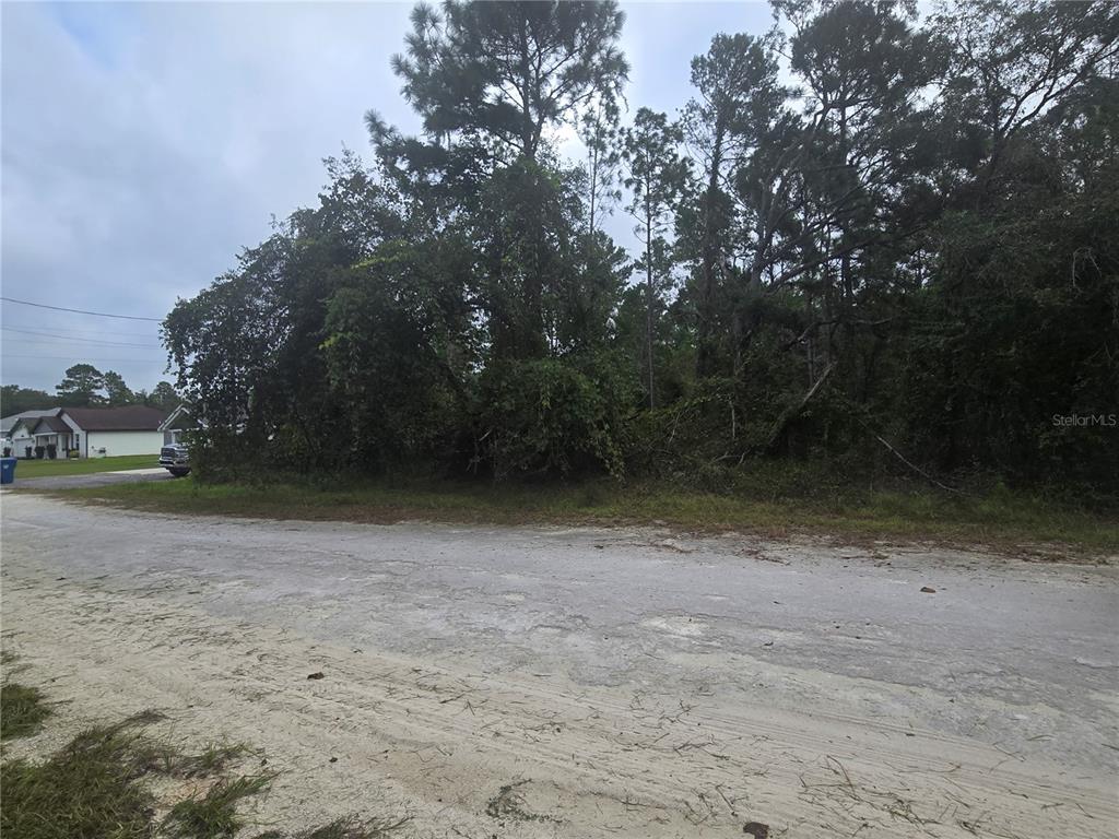 English Sparrow Road Weeki Wachee, FL 34614 - Photo 4 of 4 Gallery Image 4