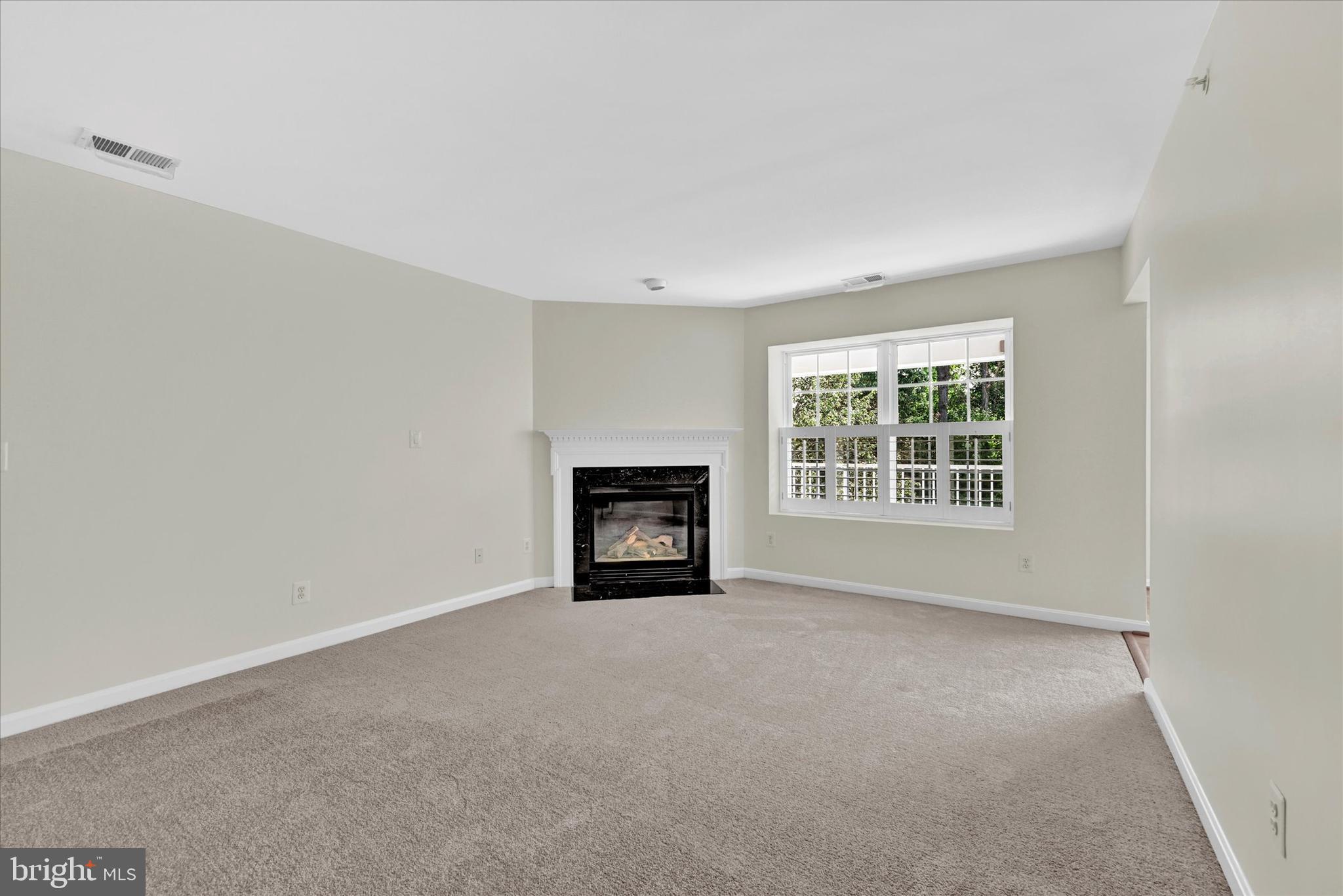 12350 Rosslare Ridge Road, Unit 304 Lutherville-Timonium, MD 21093 - Photo 14 of 27 What a great spot to relax by the fire!