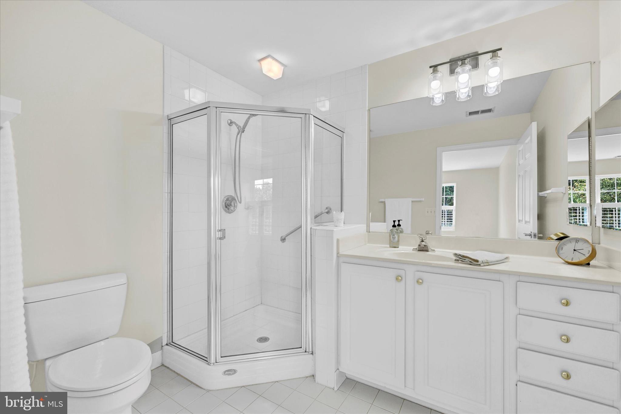 12350 Rosslare Ridge Road, Unit 304 Lutherville-Timonium, MD 21093 - Photo 17 of 27 Primary bath with new lighting & lots of storage.