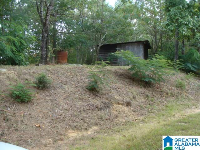 10420 Bishop Ridge West Blocton, AL 35184 - Photo 29 of 31