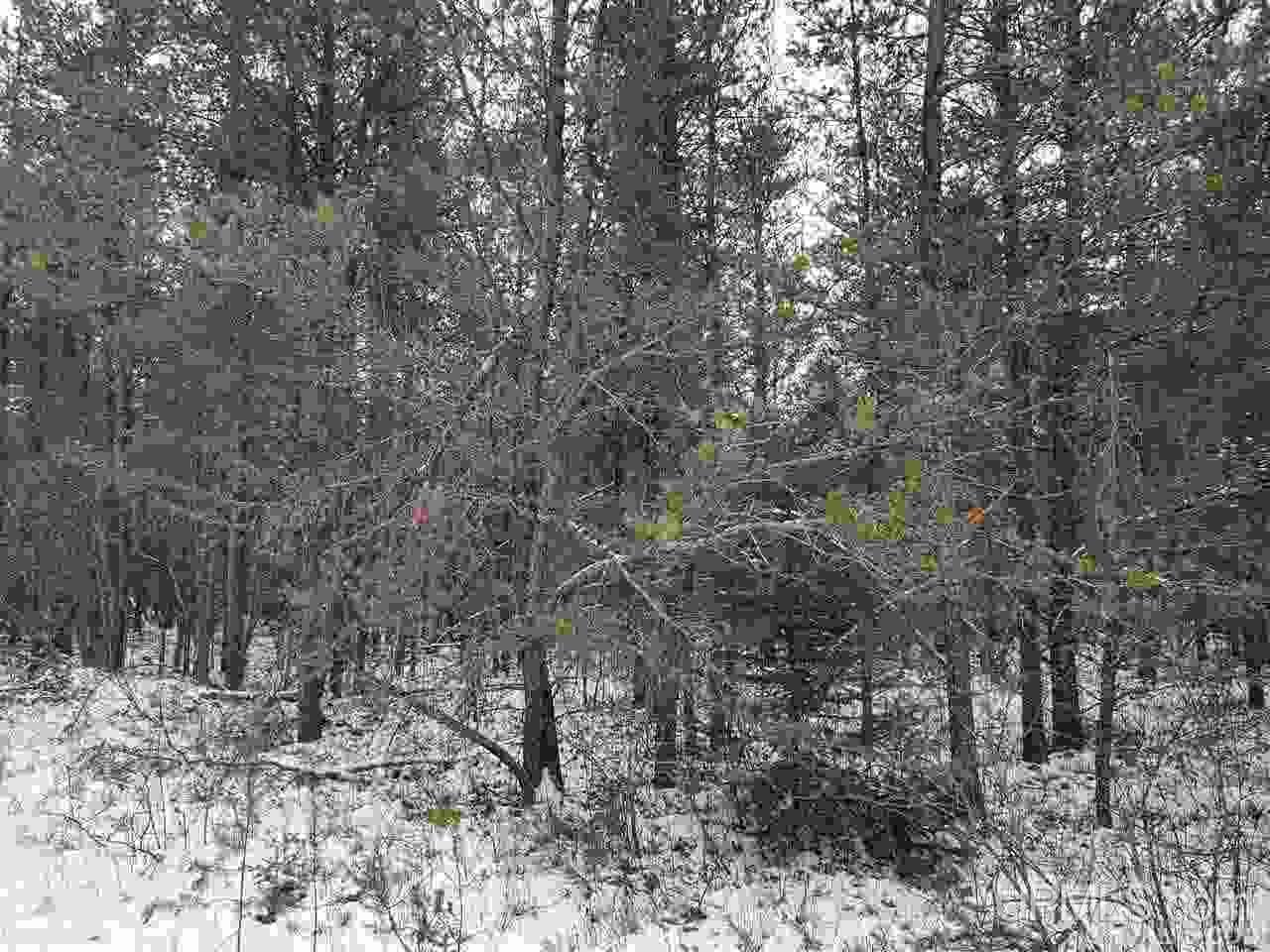 581 Rd Ishpeming Mi 49849 Road Ishpeming, MI 49849 - Photo 3 of 4