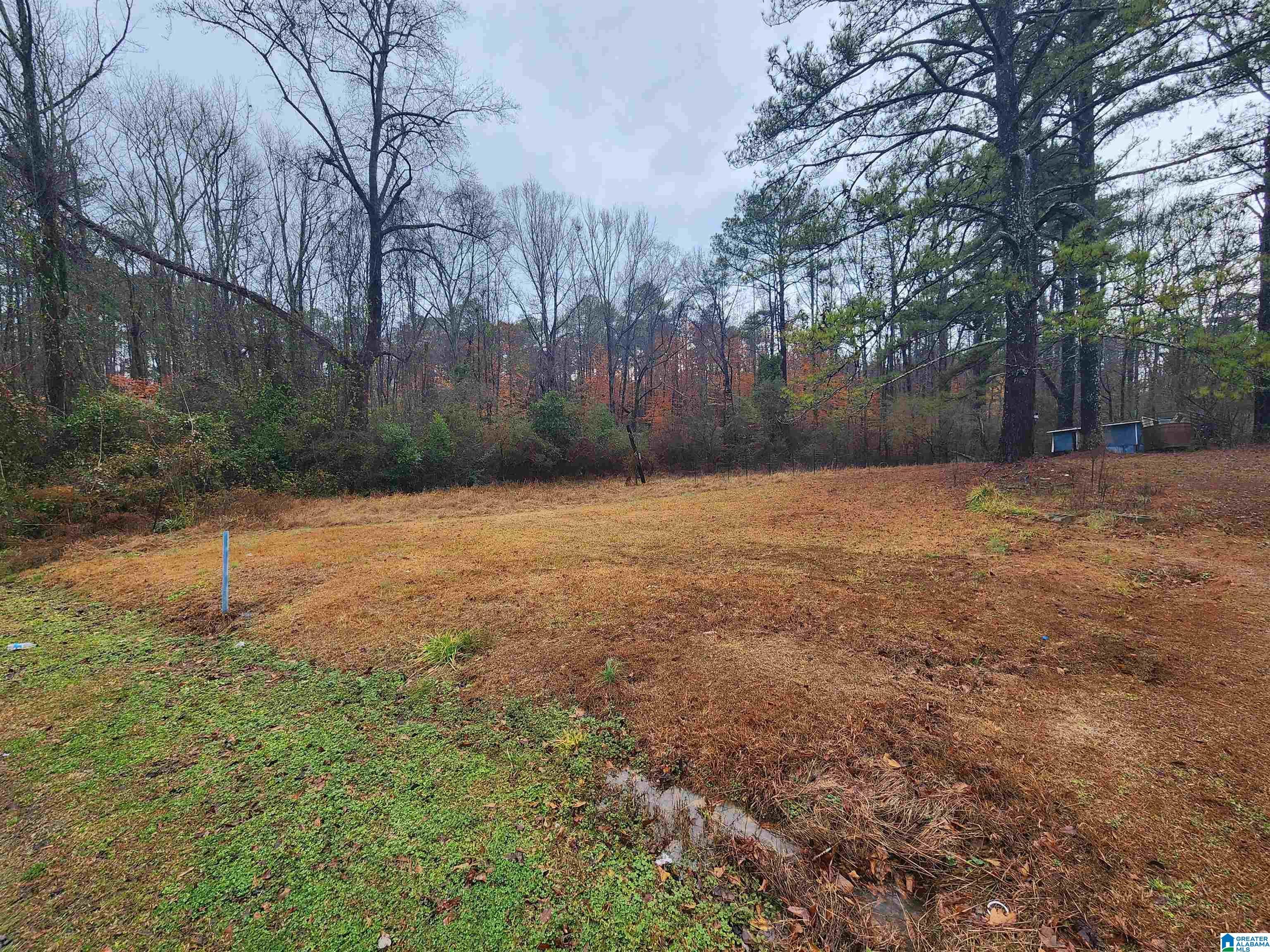 0 Scales Street, Unit 4 Goodwater, AL 35072 - Photo 1 of 2
