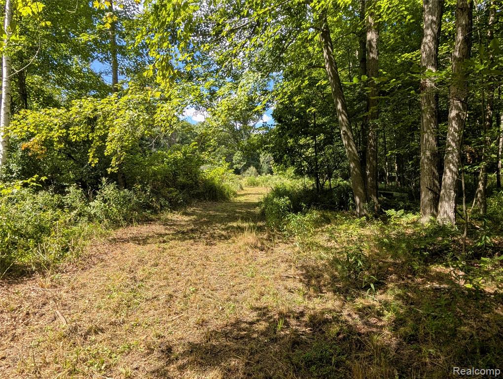 0 South Maywood Road Ashley, MI 48806 - Photo 12 of 32