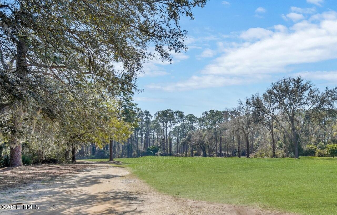 23 State Rd S-7-664 Beaufort, SC 29907 - Photo 25 of 26 GRASS20.jpg-SMALL (2)