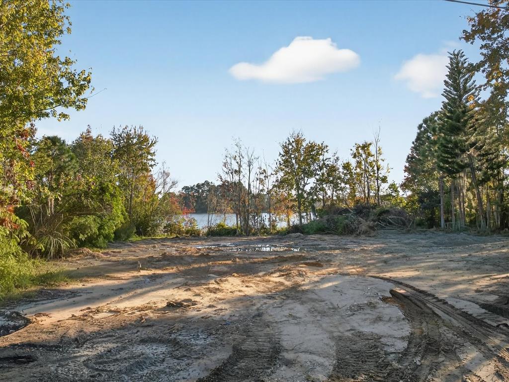 9222 Charles E Limpus Road Orlando, FL 32836 - Photo 17 of 24