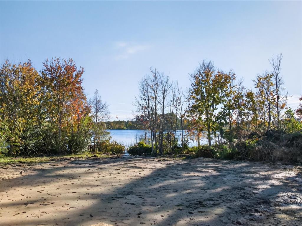 9222 Charles E Limpus Road Orlando, FL 32836 - Photo 18 of 24