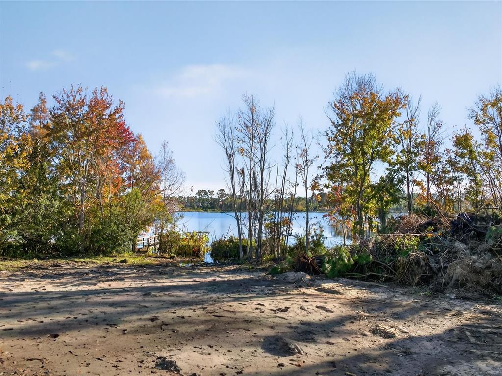 9222 Charles E Limpus Road Orlando, FL 32836 - Photo 24 of 24