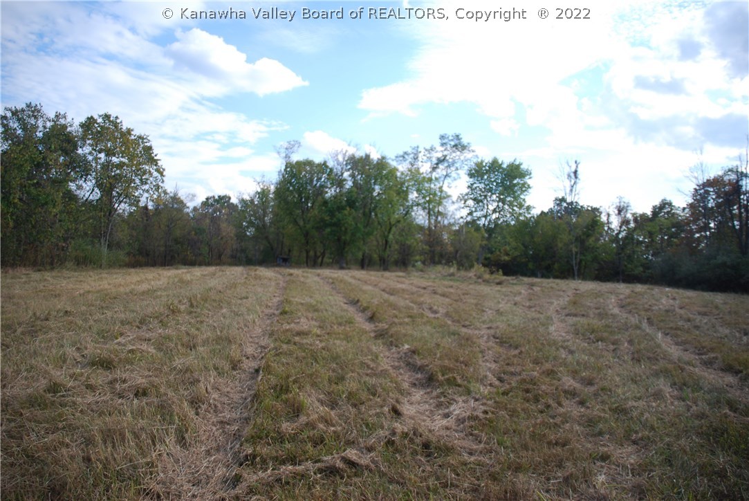 1755 Doc Casto Road Leon, WV 25123 - Photo 12 of 32 Gallery Image 12