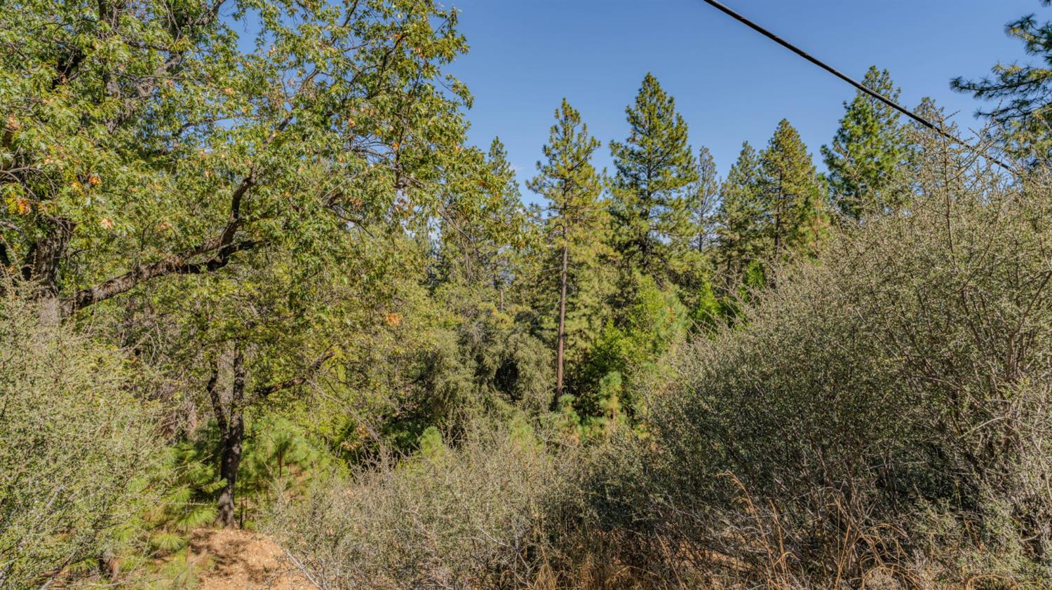11456 Gold Strike Road Pine Grove, CA 95665 - Photo 19 of 24 Gallery Image 19
