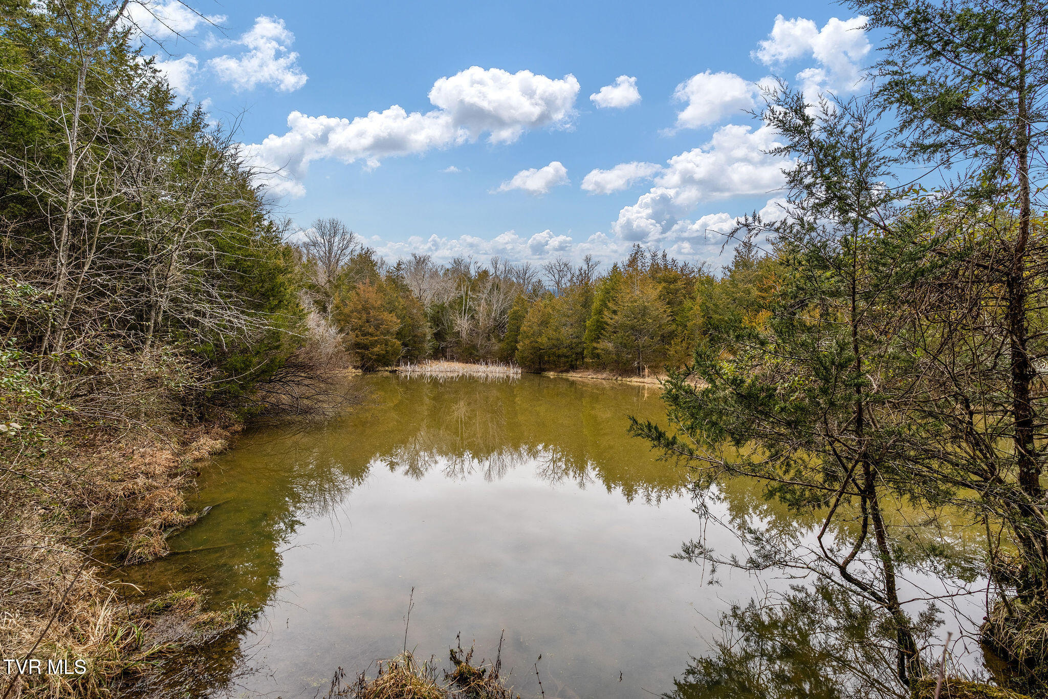 Tbd Smithtown Road Afton, TN 37616 - Photo 11 of 52 DSC03773