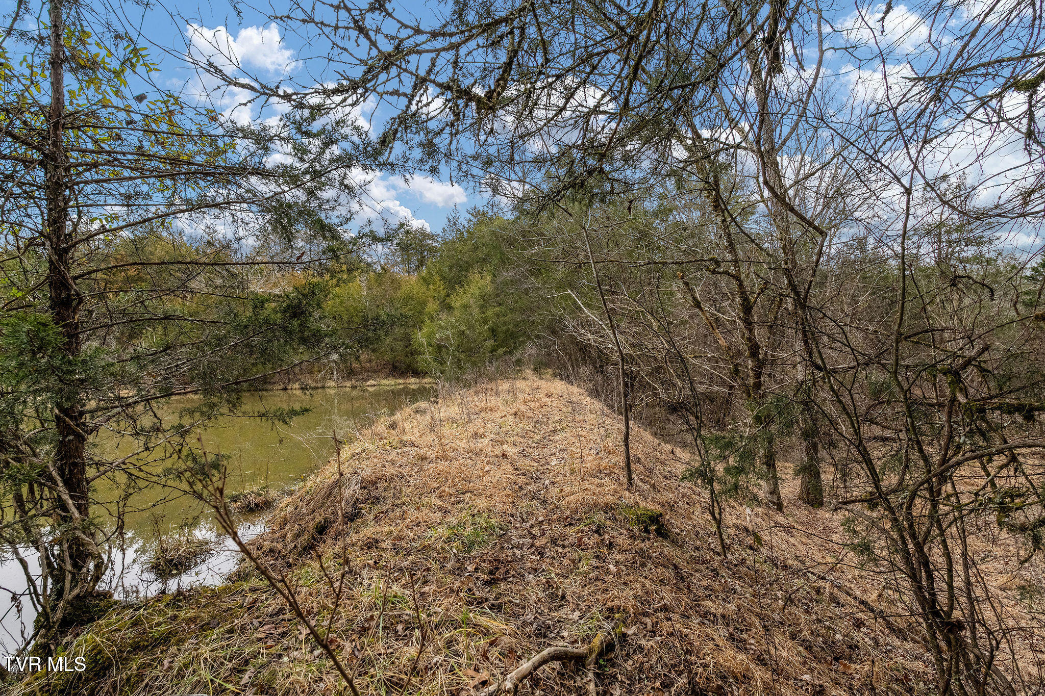 Tbd Smithtown Road Afton, TN 37616 - Photo 13 of 52 DSC03802