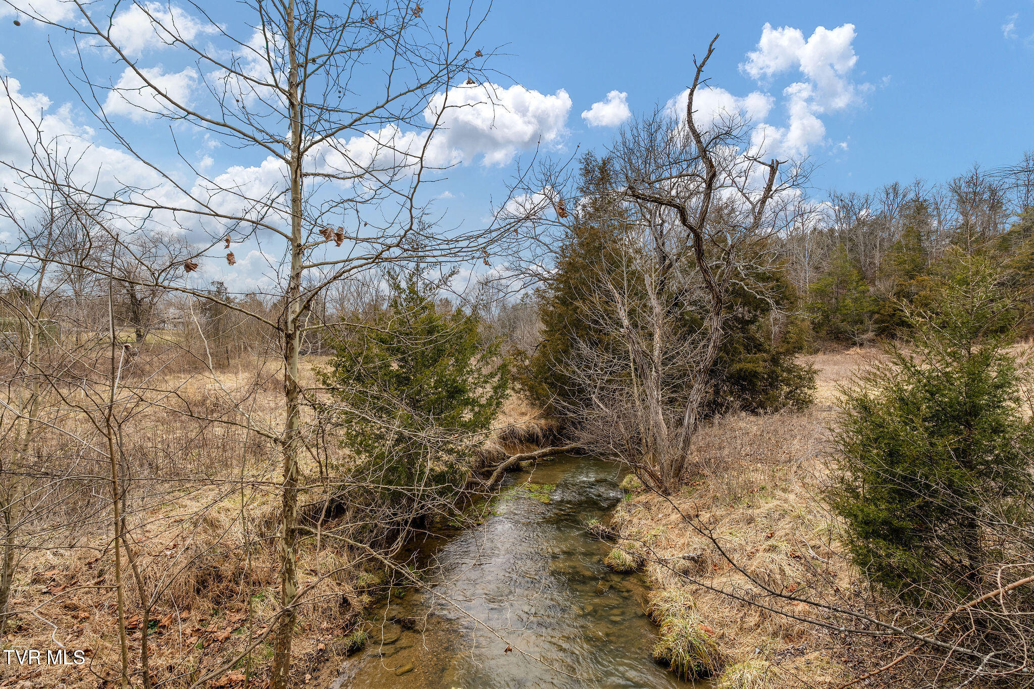 Tbd Smithtown Road Afton, TN 37616 - Photo 14 of 52 DSC03767