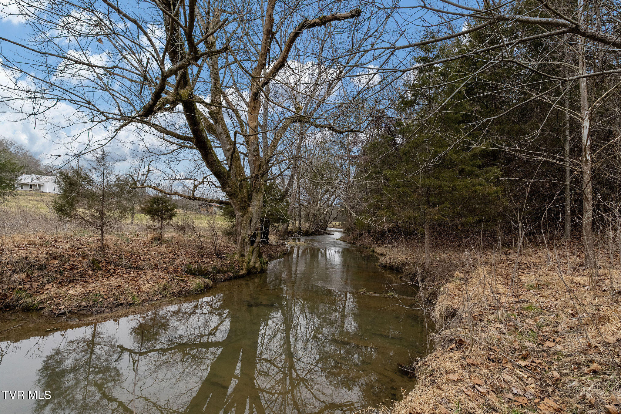 Tbd Smithtown Road Afton, TN 37616 - Photo 15 of 52 DSC03811