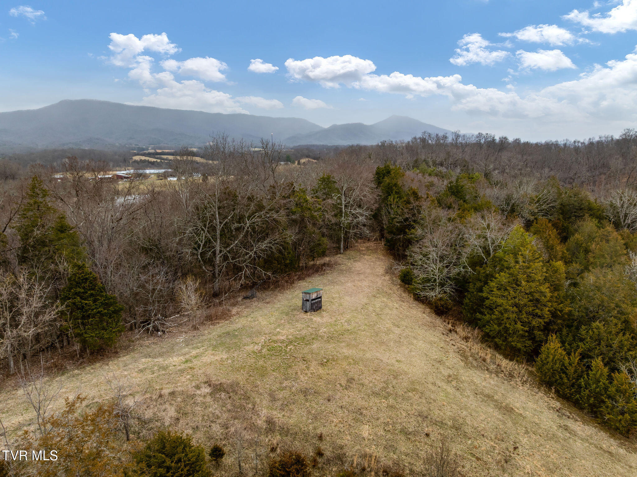 Tbd Smithtown Road Afton, TN 37616 - Photo 16 of 52 DJI_0970