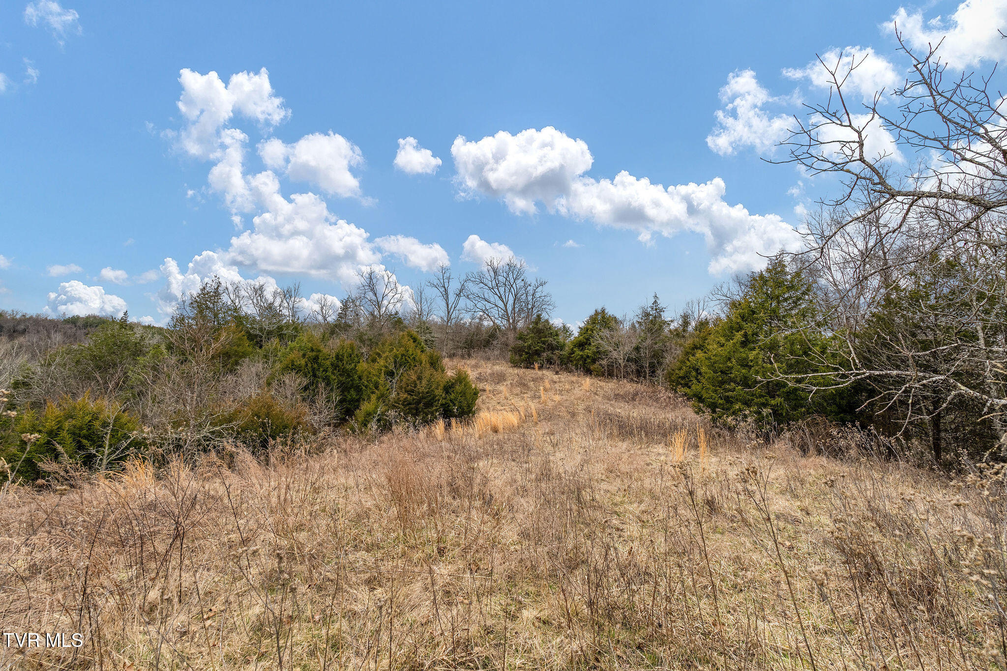 Tbd Smithtown Road Afton, TN 37616 - Photo 18 of 52 DSC03768