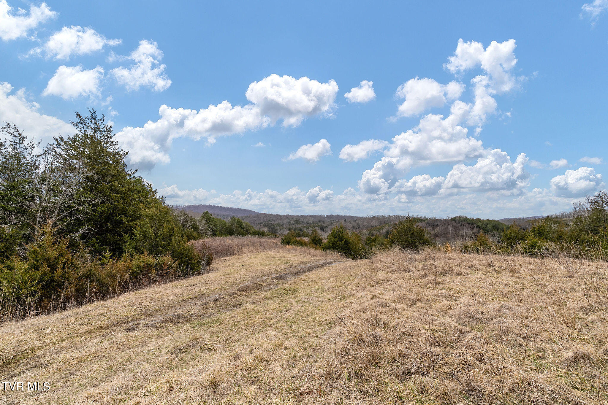 Tbd Smithtown Road Afton, TN 37616 - Photo 19 of 52 DSC03769