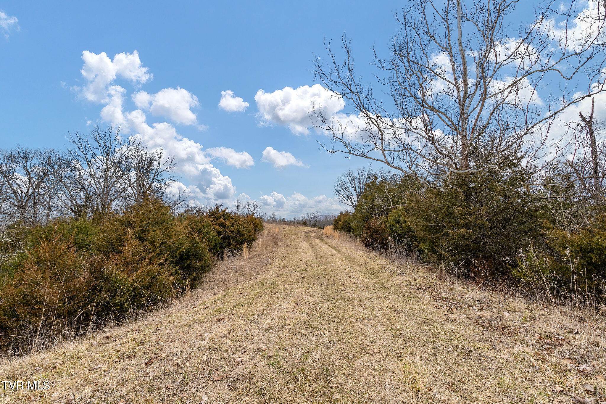 Tbd Smithtown Road Afton, TN 37616 - Photo 20 of 52 DSC03770