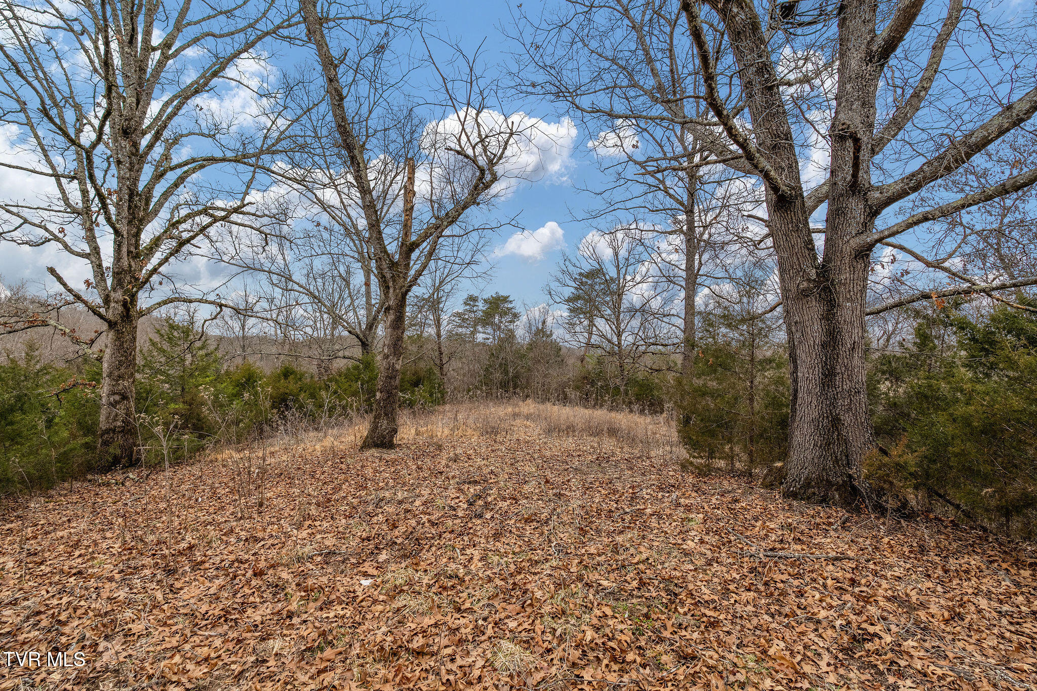Tbd Smithtown Road Afton, TN 37616 - Photo 21 of 52 DSC03771