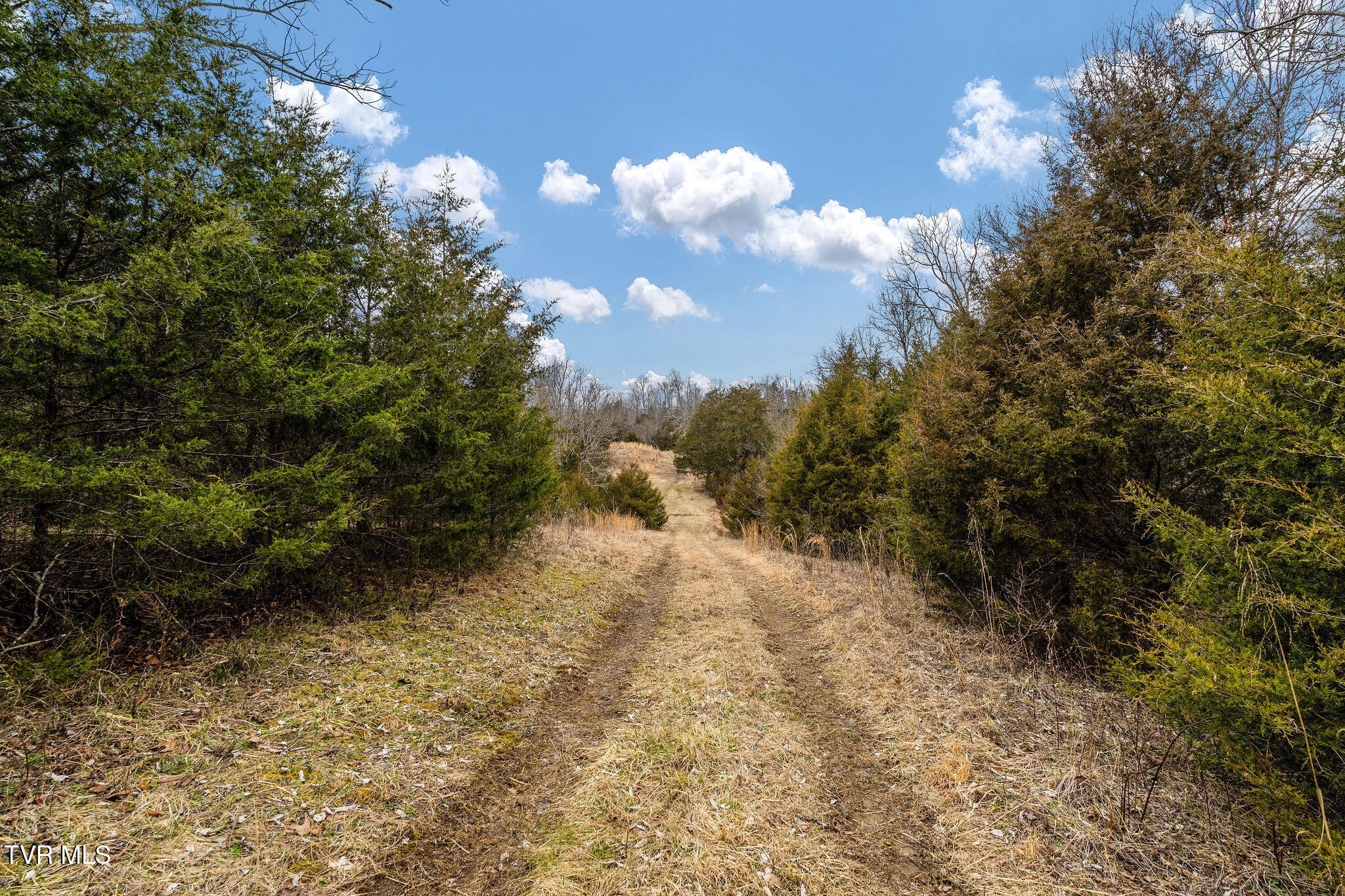 Tbd Smithtown Road Afton, TN 37616 - Photo 22 of 52 DSC03772