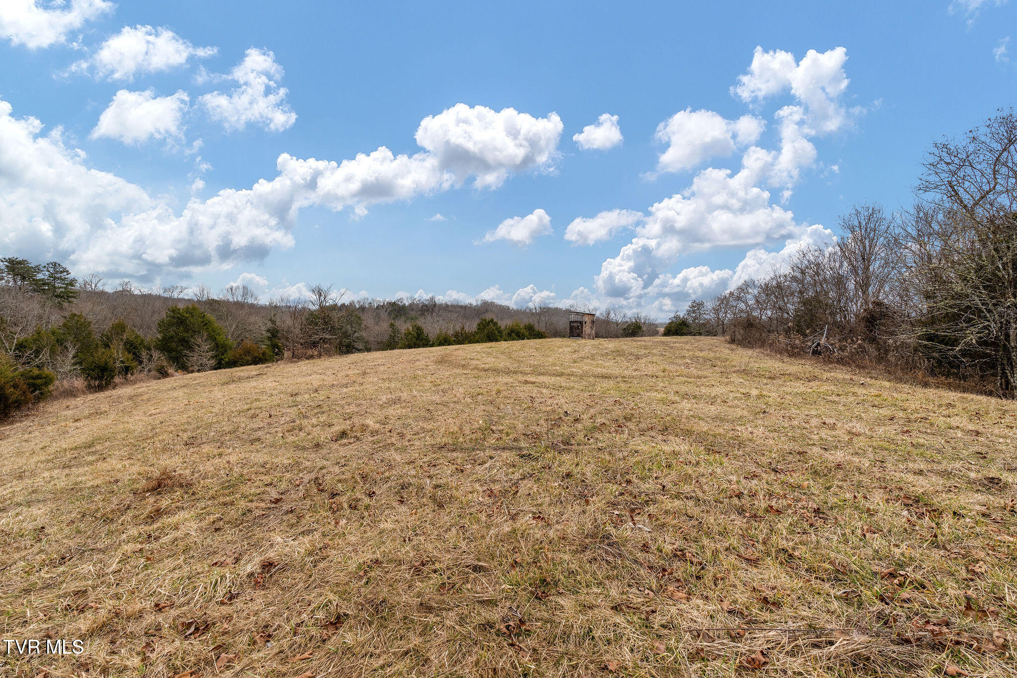 Tbd Smithtown Road Afton, TN 37616 - Photo 23 of 52 DSC03775