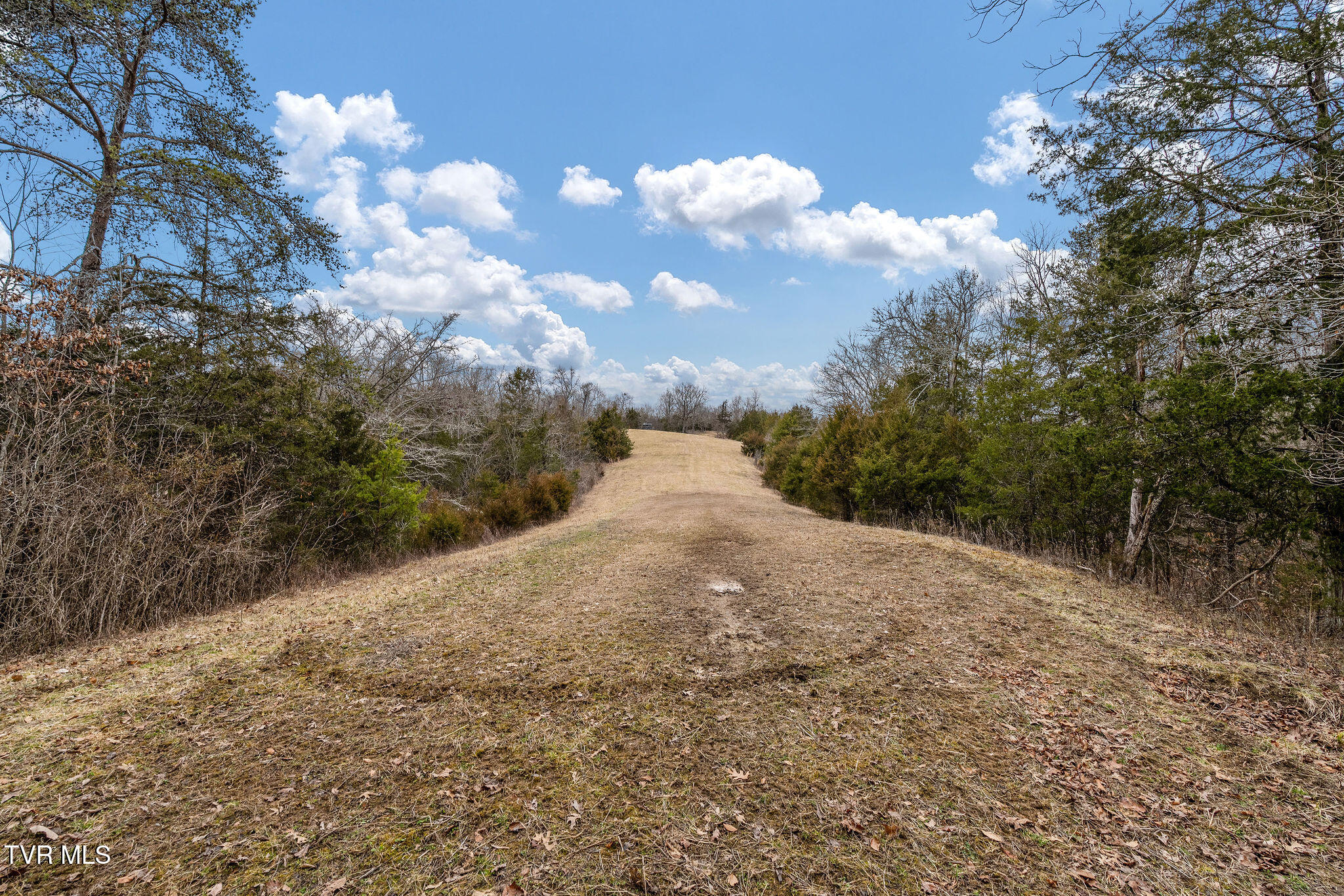 Tbd Smithtown Road Afton, TN 37616 - Photo 24 of 52 DSC03776