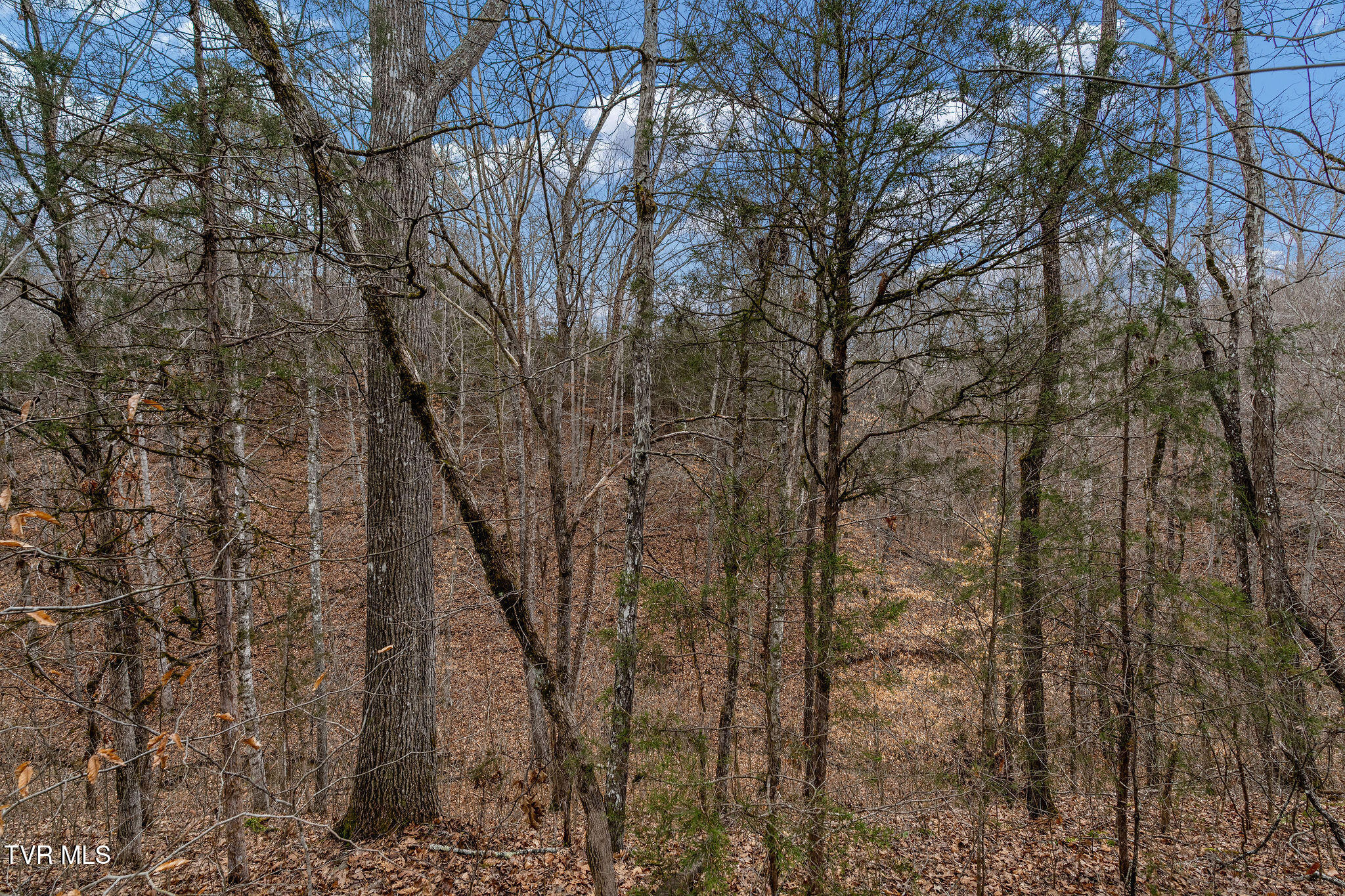 Tbd Smithtown Road Afton, TN 37616 - Photo 25 of 52 DSC03777